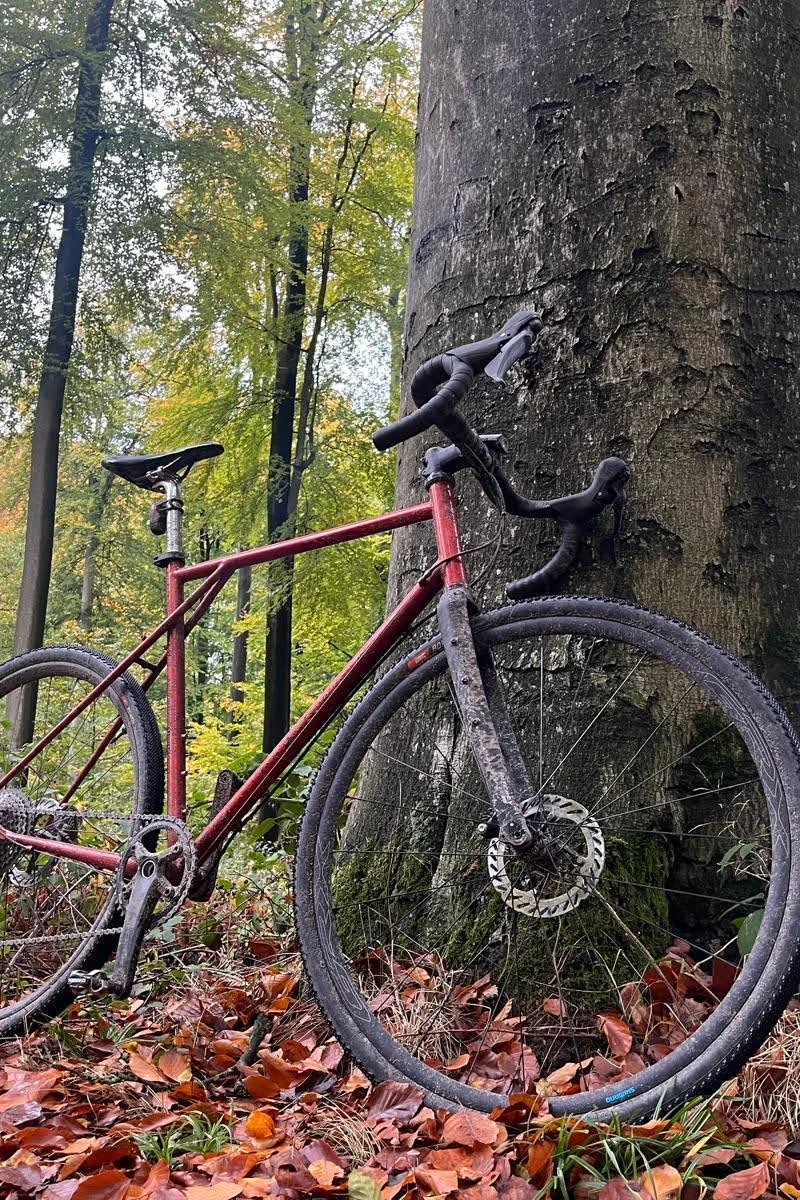 tramtracks_proto_rouge